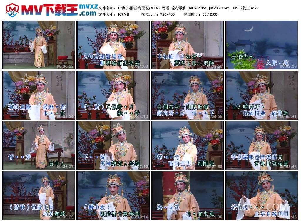 叶幼琪-醉折海棠花(MTV)_粤语_流行歌曲_MC901851